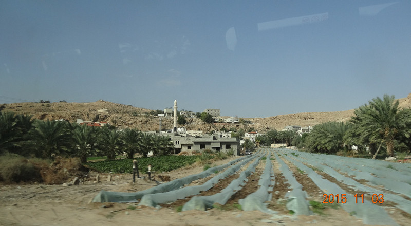 Farming in Palestine