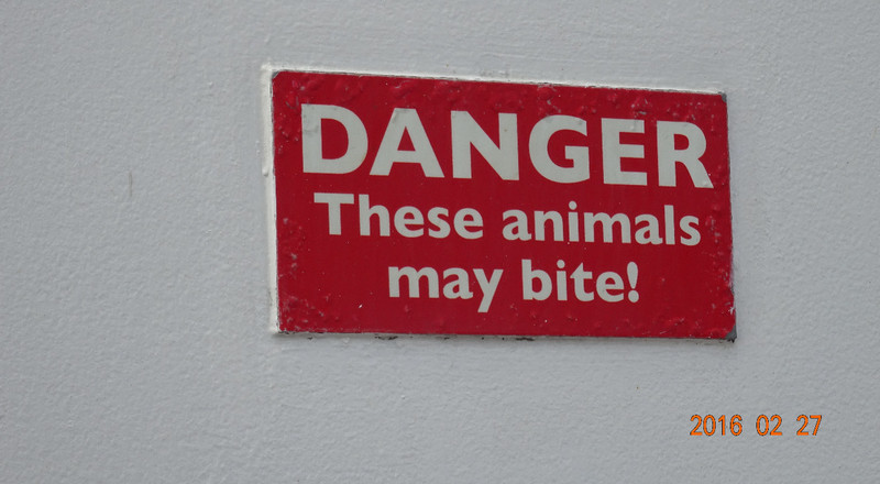 Sign Near the Ship Kennels