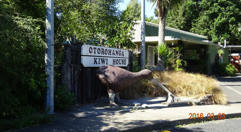 Kiwi House
