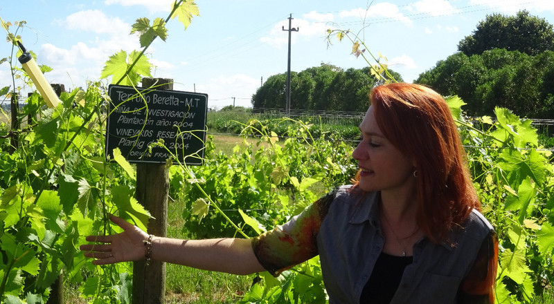 Leticia Beretta Explains the Test Vines