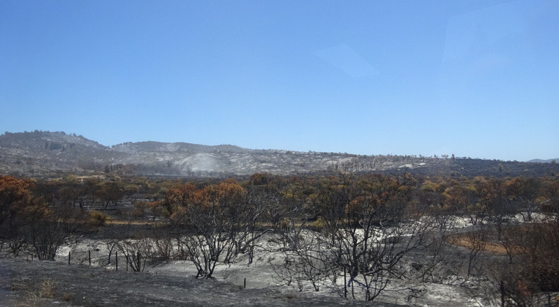 Evidence of a Recent Fire in Casablanca Valley