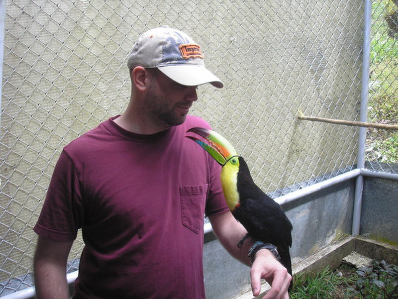 Shaun with the toucan