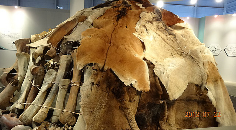 Woolly Mammoth Exhibit--Human Hut of the Time