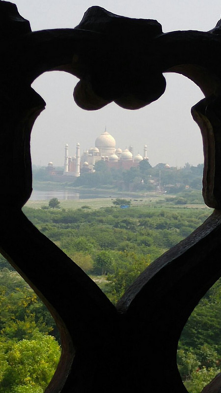 View of the Taj Mahal from Agra Fort