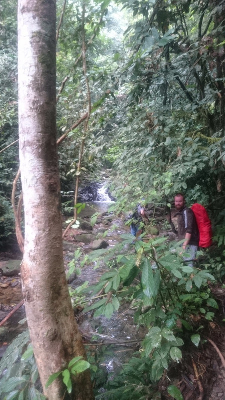 Trekking throigh the rainforest
