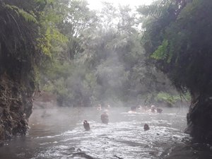 Hot springs near Rotorua
