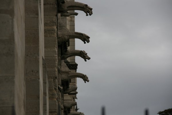 Gargoyles on Notre Dame