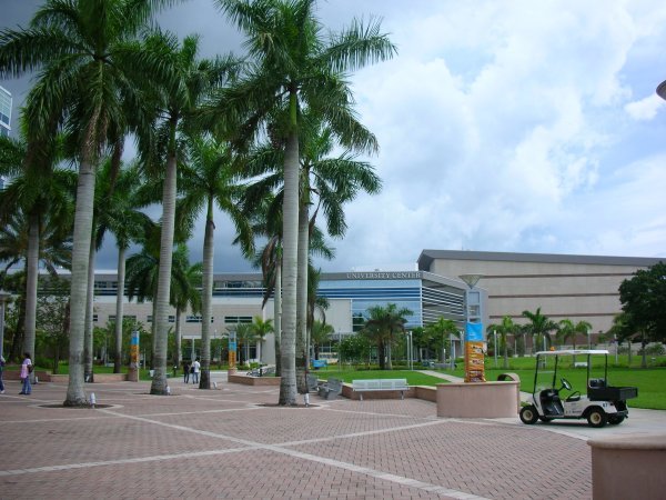 The University Center