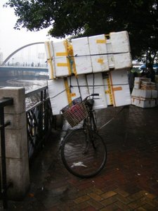 A bike load