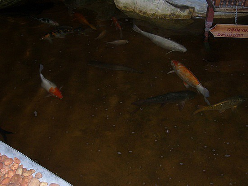 Fish pond in foyer