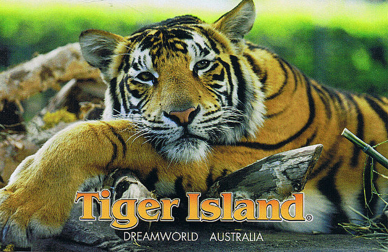 Tiger Island Dreamworld