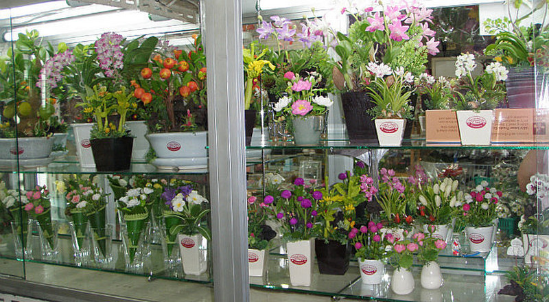 Shelves of clay flowers