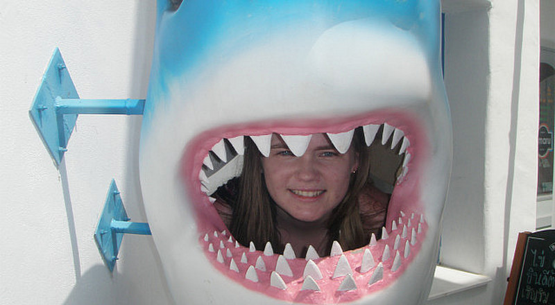 Melissa the shark