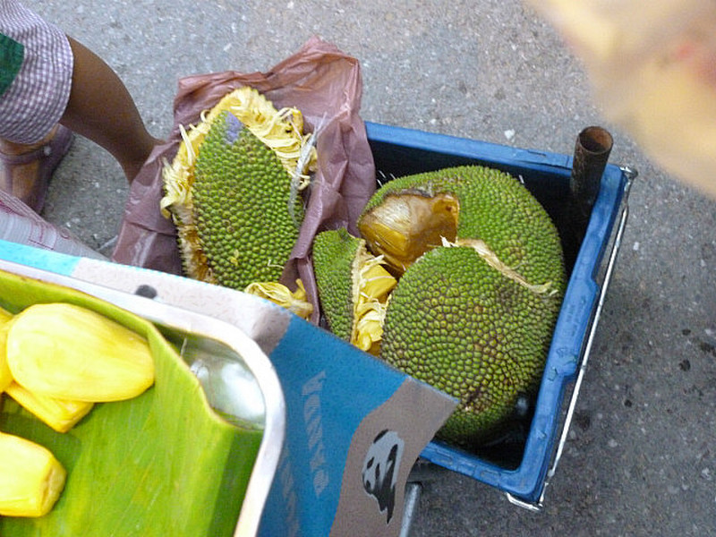 Durian Fruit grow up to 5kgs