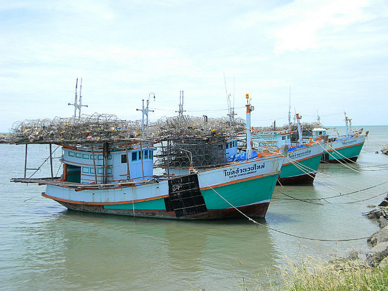 A small fleet of lobster fishing boats