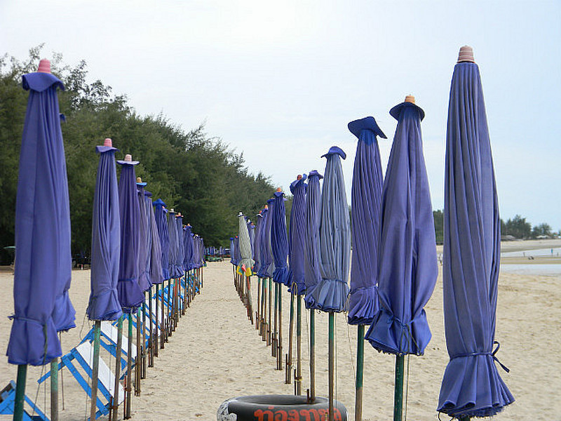 Lines of umbrellas