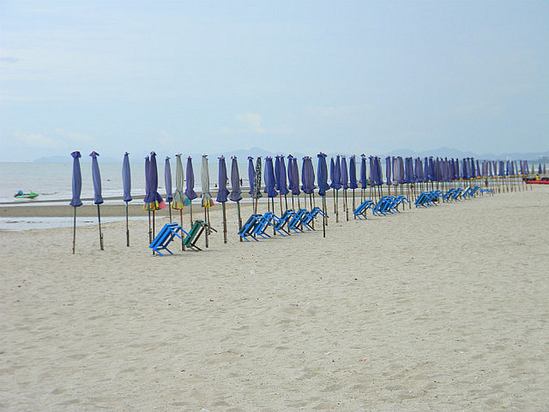 Umbrellas in a row like soldiers
