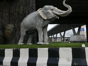 Elephant along highway