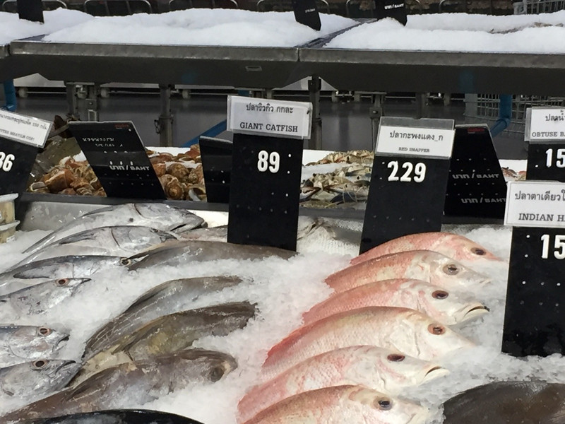 Makro Supermarket - Fish on Ice