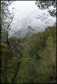thumbnail.large.6.1288612741.tropicals-with-mountains-and-snow