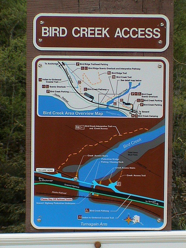 8.1295301163.bird-creek-man
