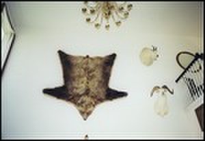 thumbnail.large.8.1295301163.requisite-bear-rug-15-chandeliers