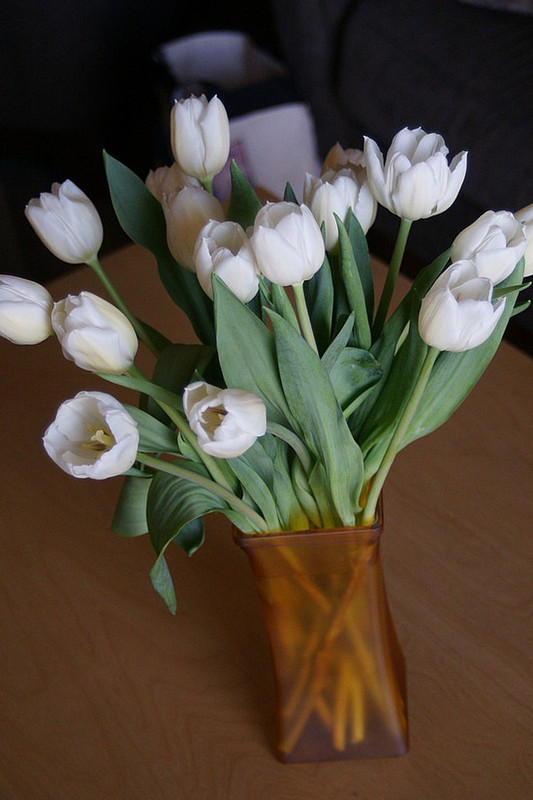 9.1306442297.margaret-s-beautiful-tulips