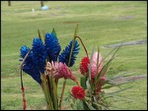 thumbnail.large.10.1307647765.1_cemetery-flowers