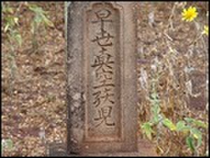 thumbnail.large.10.1307647765.japanese-cemetery-kauai
