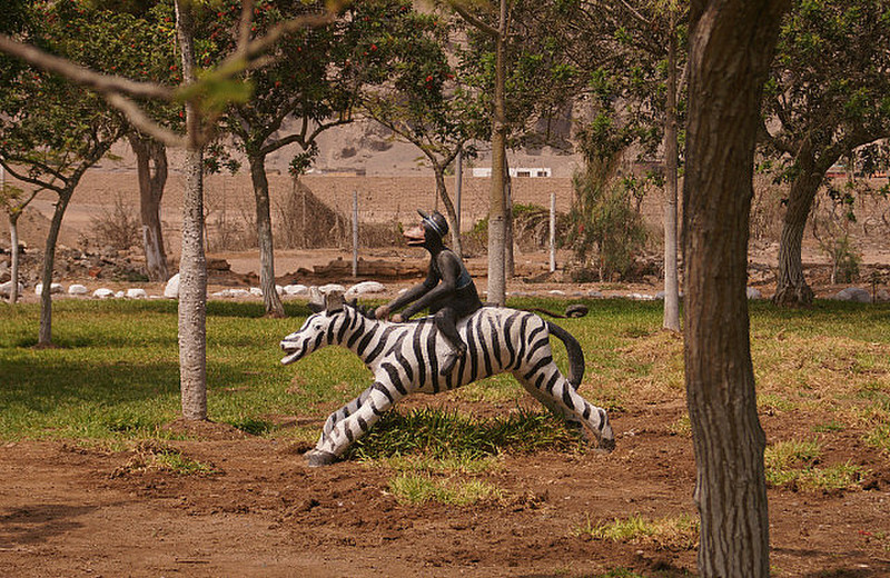 13.1338999955.monkey-riding-zebra