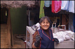 thumbnail.large.13.1338999955.huancaya-hostess-doing-laundry