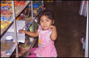 thumbnail.large.13.1338999955.little-one-minding-the-store