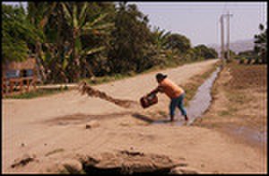 thumbnail.large.13.1338999955.watering-the-road-to-keep-down-the-dust