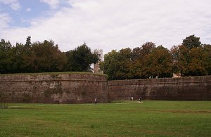 17.1415058900.lucca-wall