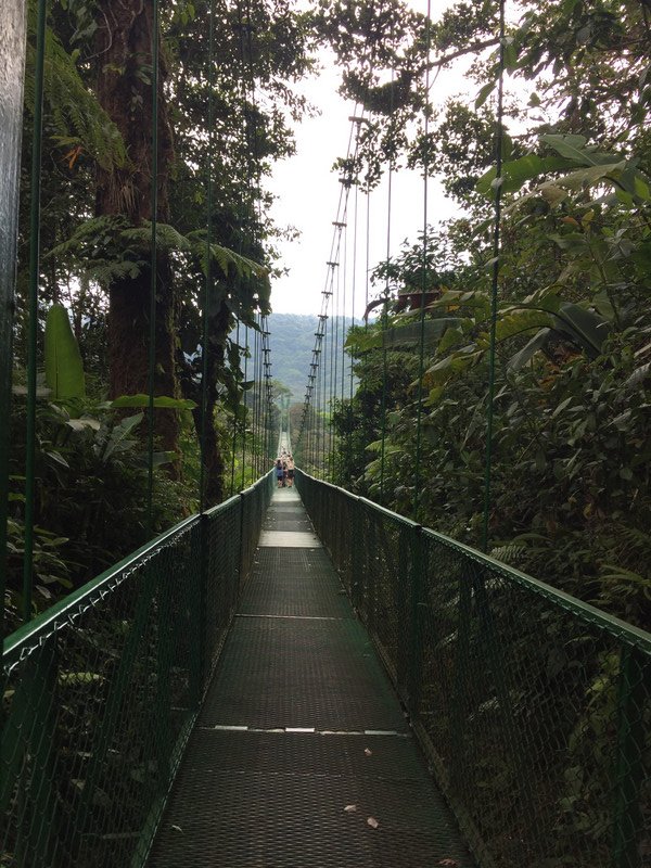 Selvatura hanging bridges 