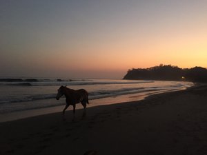 Playa Samara sunset 