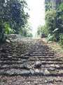 Guayabo National Monument cobble stone road