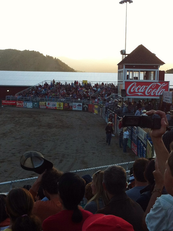 The local rodeo