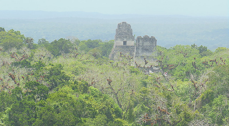 Temples from above the jungle