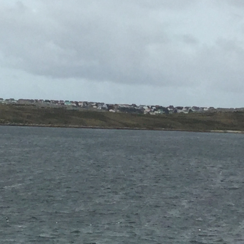Falkland island