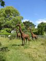 Birdwoods Giraffes