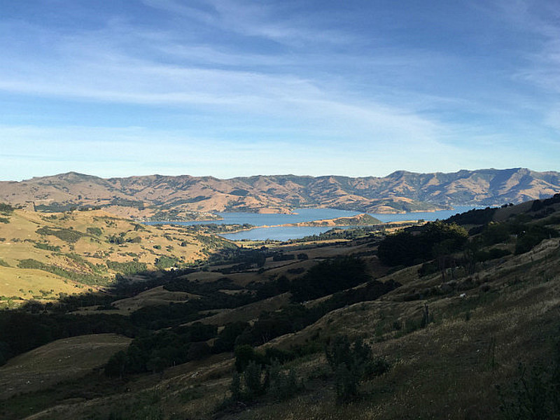 Akaroa Harbour from Top of Crater