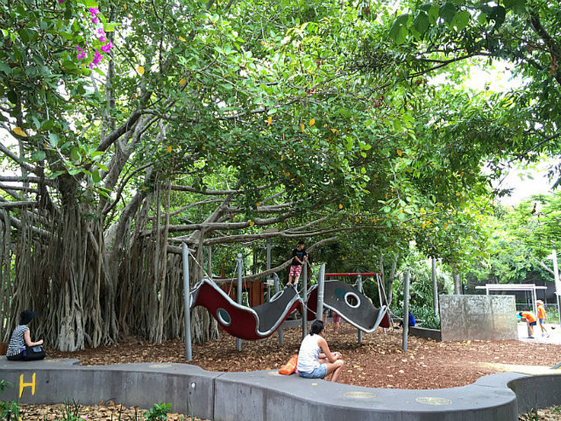Mangrove Playground