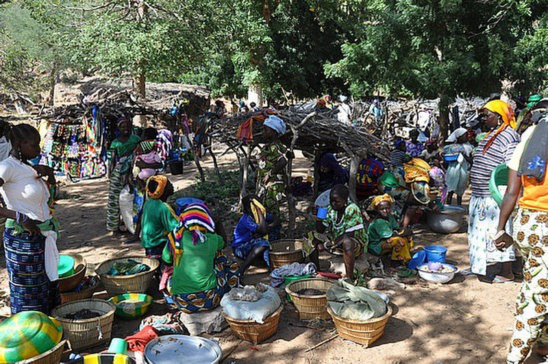 Market Day In Dogon Country