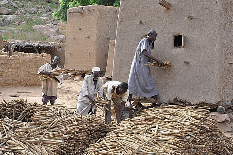 Loading Millet Into A Granary