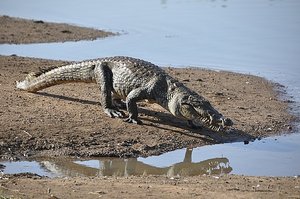 Sacred Crocodile Lake