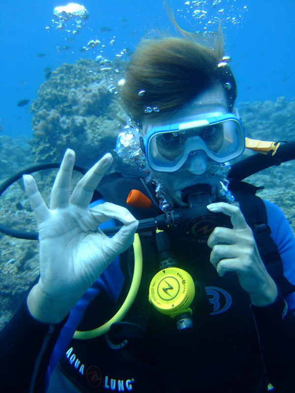 DH Does The Great Barrier Reef