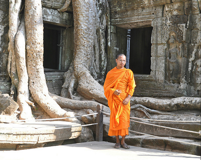 Monk In The Temples