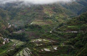 Rice Terraces