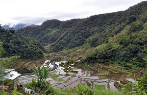 More Rice Terraces